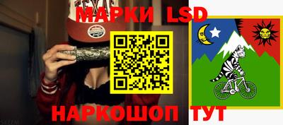 стаф Новозыбков