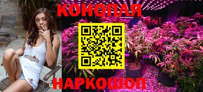 стаф Новозыбков