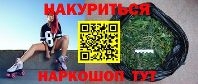 стаф Новозыбков