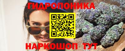 альфа пвп Новодвинск