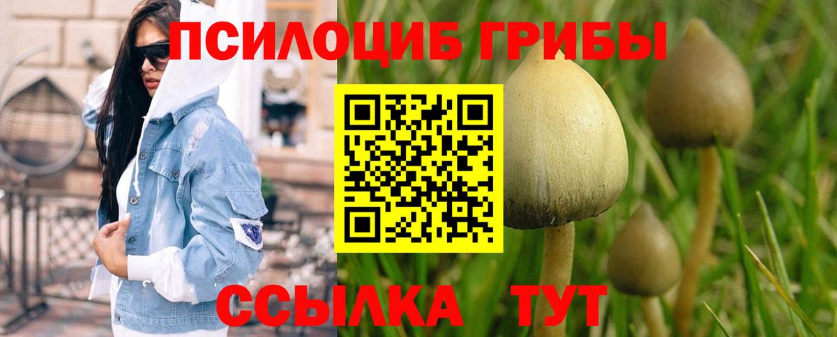 наркотики  Вход с VPN  Псилоцибиновые грибы Cubensis  Торжок  Галлюциногенные грибы Magic Shrooms 